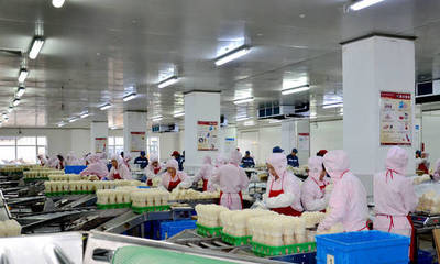 長春高榕生物科技:深耕食用菌產業 用科技還原生態之美