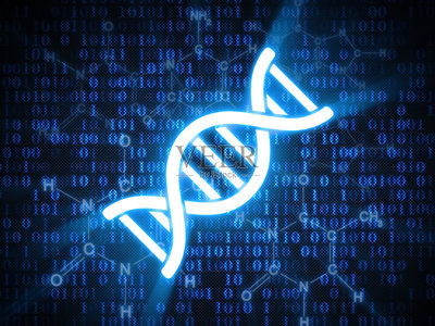 脫氧核糖核酸,螺旋,染色體,生物科技,分子結構