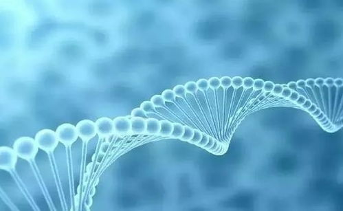 華生云康基因檢測(cè),讓愛沒有遺憾