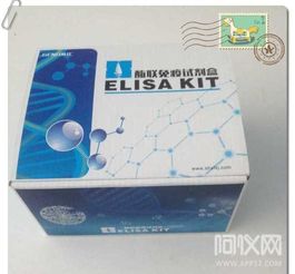 喜訊 南京信帆再次合作阿儀網