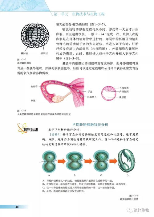 滬科版高中生物選修3 現(xiàn)代生物科技專題 電子課本 高清pdf版