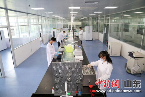 山東恒魯生物項(xiàng)目榮獲全國顛覆性技術(shù)創(chuàng)新大賽優(yōu)秀獎(jiǎng)，彰顯生物科技新動(dòng)能