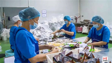 成都金堂精準施策“拼經濟” 476家企業(yè)全力以“復”發(fā)展生物科技